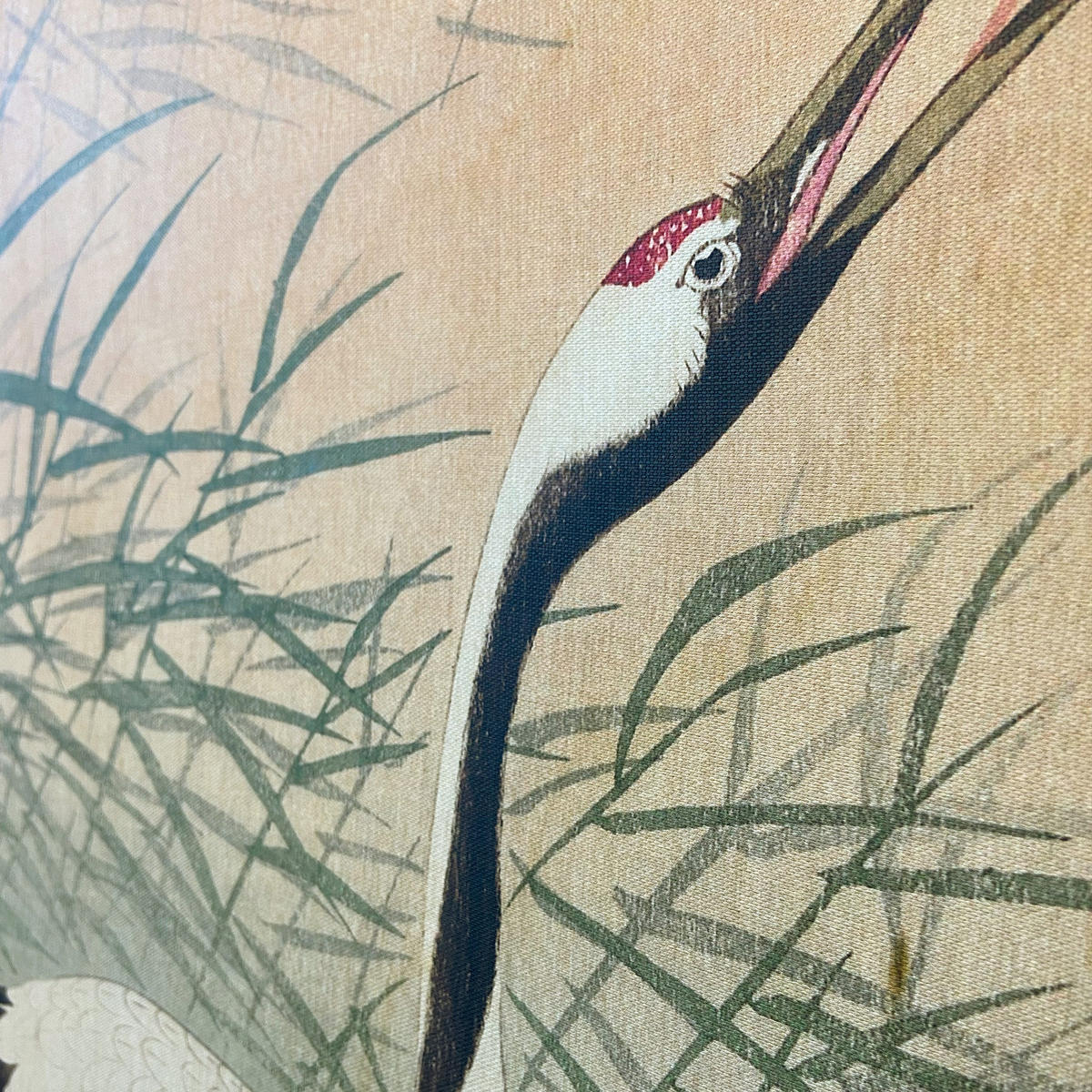 LEINWANDBILD Kranich - Multicolor, Wellpappe (54/1cm) - Art for the Home