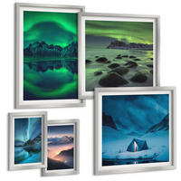 BILDER SET 5er Set - 50x50 cm & 20x30 cm & 40x60 cm Silberner Rahmen - Stilvolle Pflanzenmuster und Geometrie - Silberfarben, Kunststoff (40/60cm) - TULUP