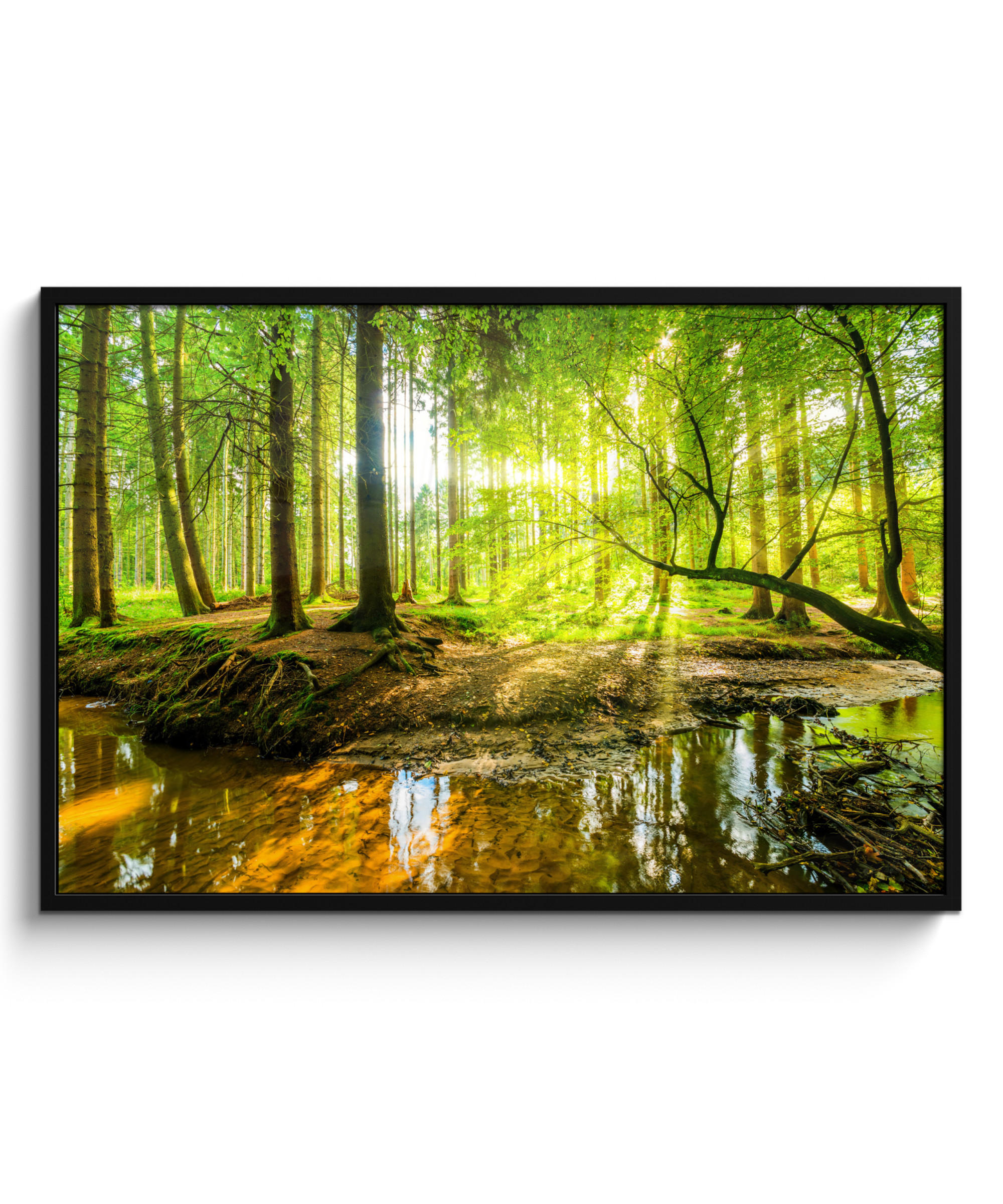 POSTER MIT RAHMENGERAHMTES BILD Wald - Landschaft - Wasser - Bäume - Sonne - Grün - Natur 120x80 cm - Grün, Papier (120/80cm) - MuchoWow