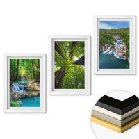WANDBILDER 3er-Set - 20x30 cm Weißer Rahmen - Wasserfälle grüner Wald Wasser - Weiß, Kunststoff (20/30cm) - ArtPrintCave