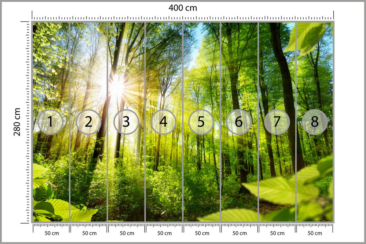 FOTOTAPETE für Wohnzimmer Sonnenaufgang zwischen Bäumen Wald 400x280 - Gelb/Grün, Papier (400/280cm) - Muralo