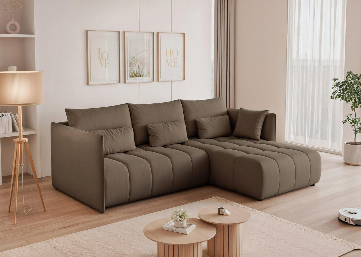 ECKSOFA CLEO mit Schlaffunktion und Bettkasten Braun - Braun, Holzwerkstoff/Kunststoff (245/180cm) - Idohome