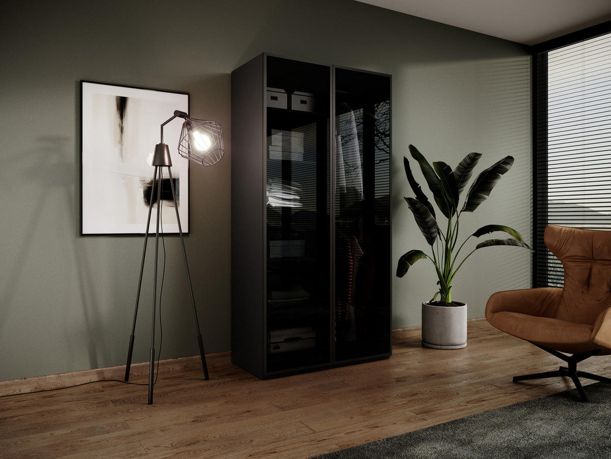 KLEIDERSCHRANK ZEN (Modular, Schwarz Matt, Getöntes Glas Antisol, 2-türig) - Schwarz, Holz/Holzwerkstoff (101/200/51cm) - Ravio