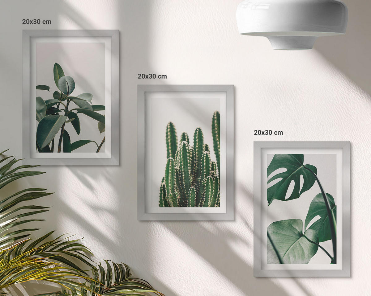 WANDBILDER 3er Set - 20x30 cm Silberner Rahmen - Tropische ästhetische Pflanzen - Silberfarben, Kunststoff (20/30cm) - ArtPrintCave