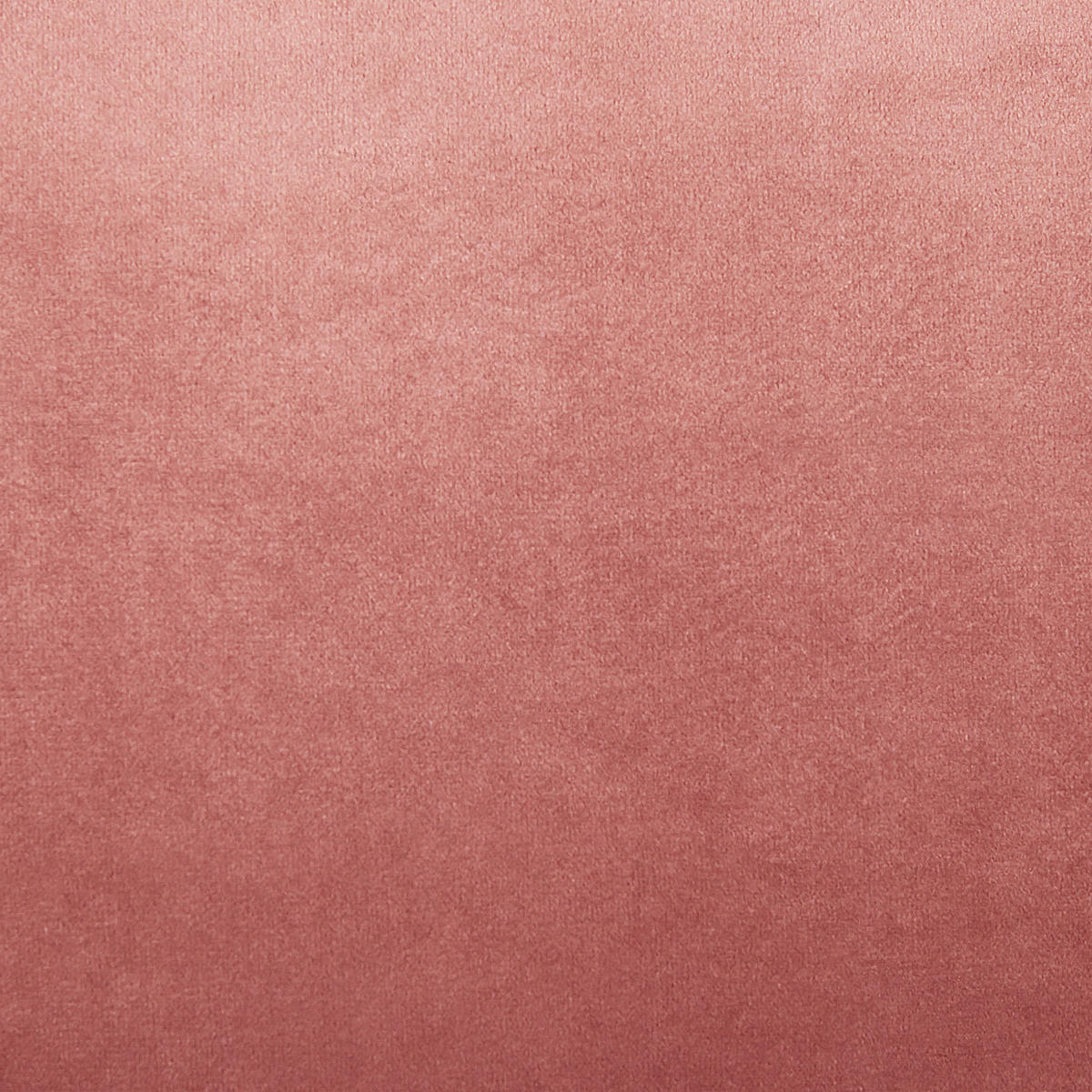DEKOKISSEN 2er-Set Rosa 30/50 cm Kalanchoe - Pink, Textil (30/50cm) - Beliani