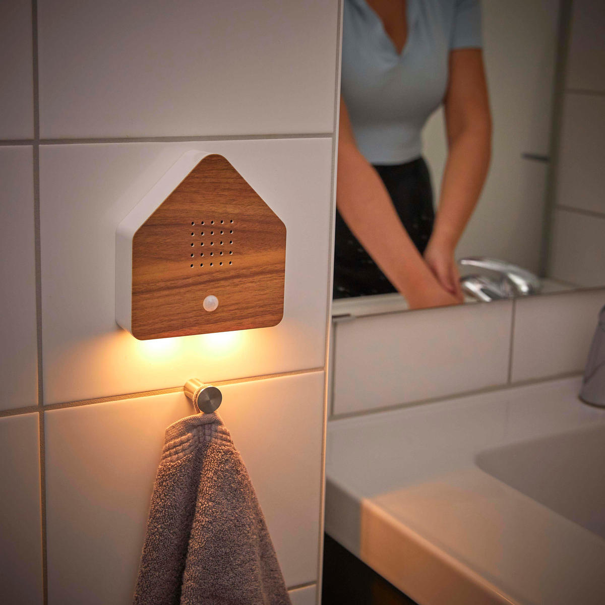 NATURGERÄUSCHEBOX Vogelzwitscher Bewegungsmelder Licht Aufladbar mit Wandhalterung - Braun, Kunststoff (5/13/16cm) - Northpoint
