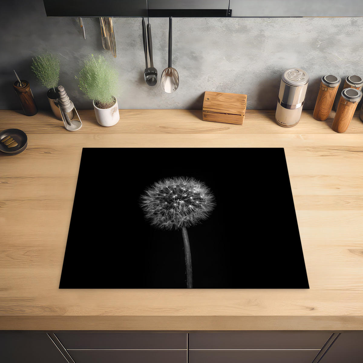 HERABDECKPLATTE - Löwenzahn - Schwarz - Floral - Botanisch - 65x55 - Grau, Kunststoff (65/55/0.2cm) - MuchoWow