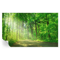 FOTOTAPETE 416x254 cm - Waldweg - Grün, Textil (416/254cm) - Wallfluent