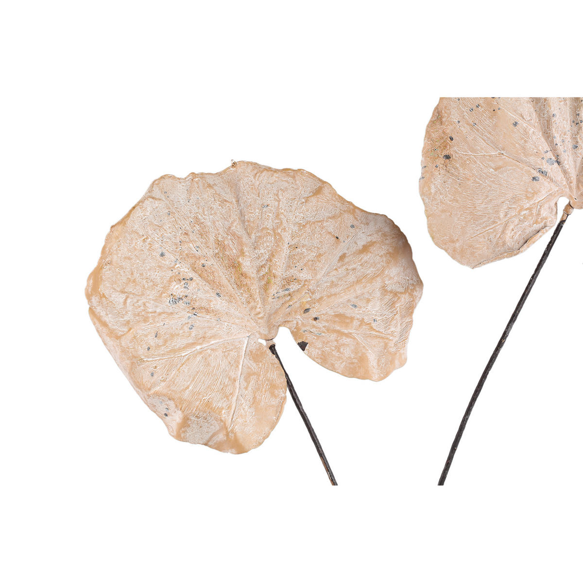 KUNSTBLATT Leaves Beige 62/57/90cm - Beige, Kunststoff (57/90/62cm) - PTMD Collection