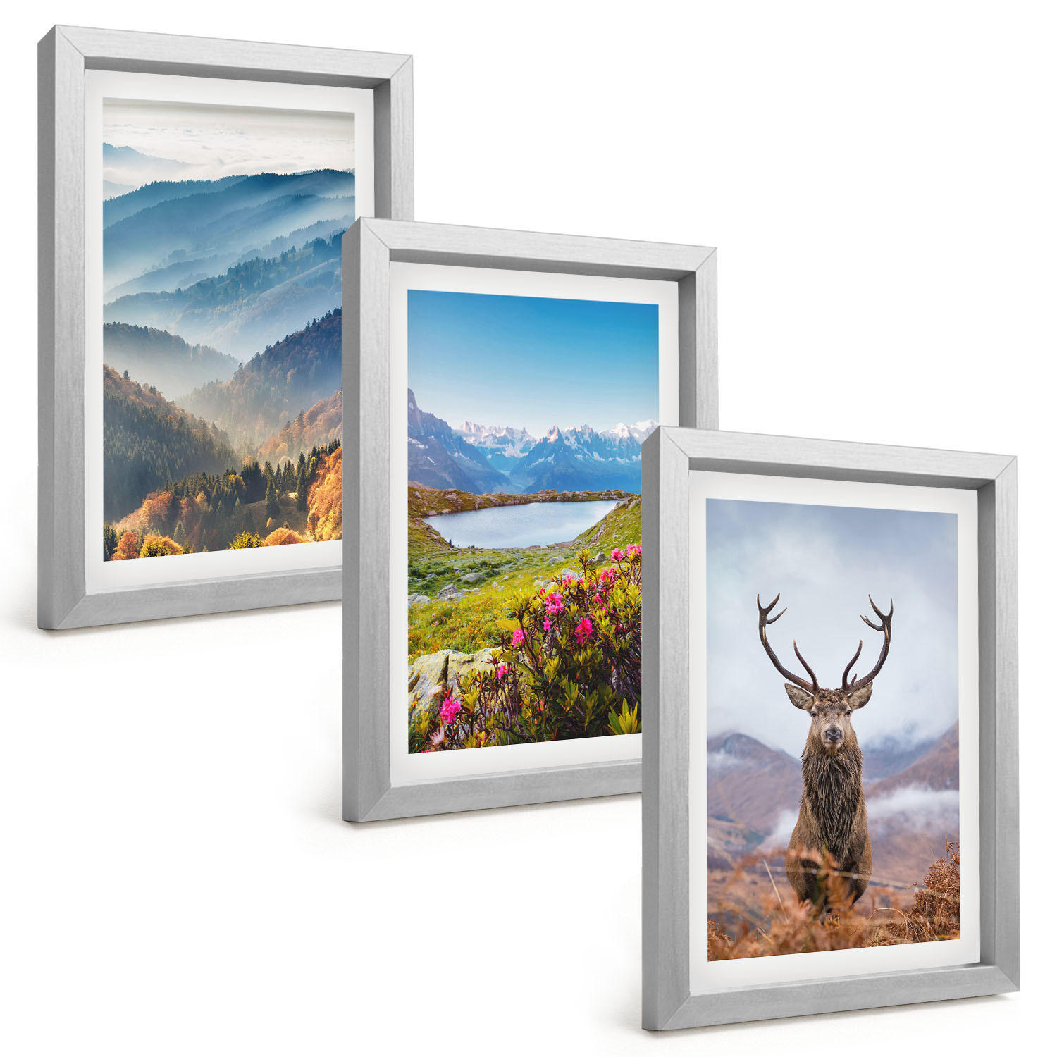 BILDER SET 3er Set - 20x30 cm Silberner Rahmen - Natur des Bergseehirsches - Silberfarben, Kunststoff (20/30cm) - TULUP