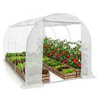 TUNNELGEWÄCHSHAUS mit aufrollbaren Seitenwänden, Weiß, 200x300x200 cm - Weiß, Metall (200/200/300cm) - Akord