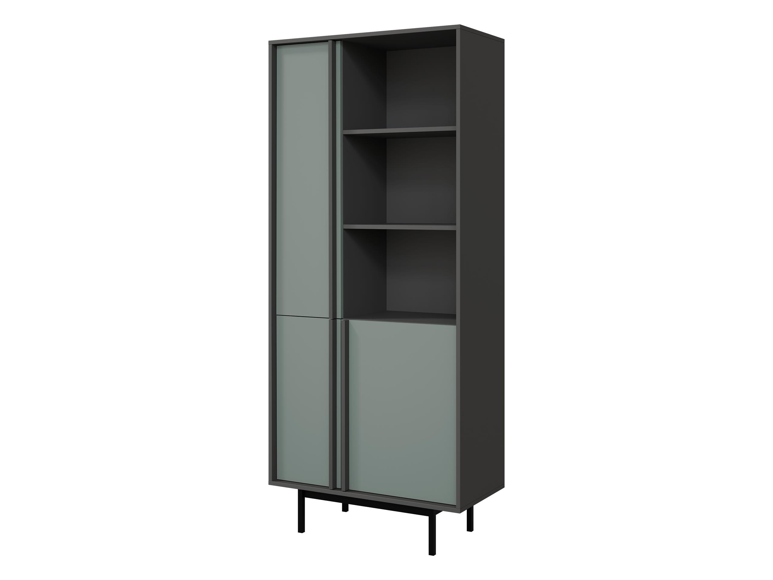 STANDREGAL Alsy 3D AL02 - Anthrazit/Grün, Holzwerkstoff/Kunststoff (83/195/43cm) - MIRJAN24