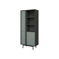 STANDREGAL Alsy 3D AL02 - Anthrazit/Grün, Holzwerkstoff/Kunststoff (83/195/43cm) - MIRJAN24