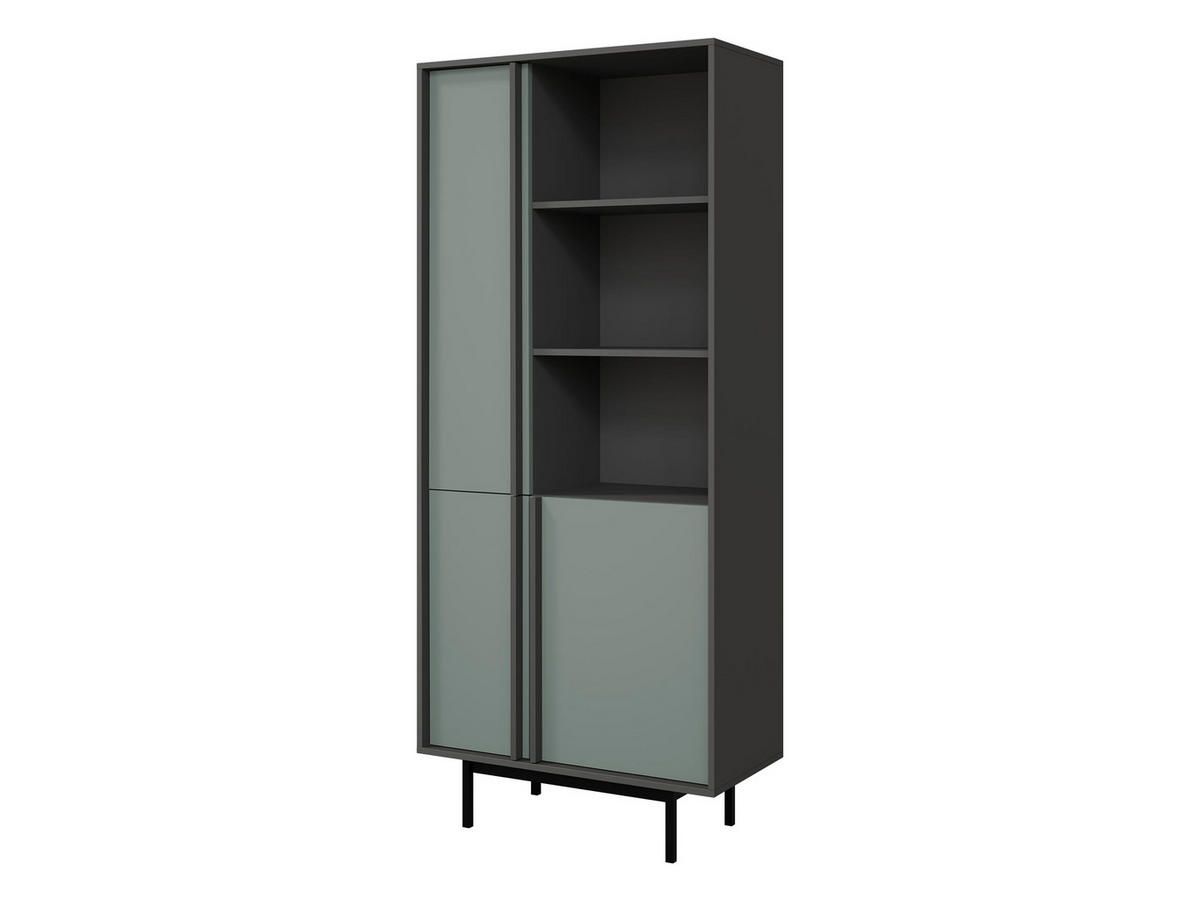 STANDREGAL Alsy 3D AL02 - Anthrazit/Grün, Holzwerkstoff/Kunststoff (83/195/43cm) - MIRJAN24