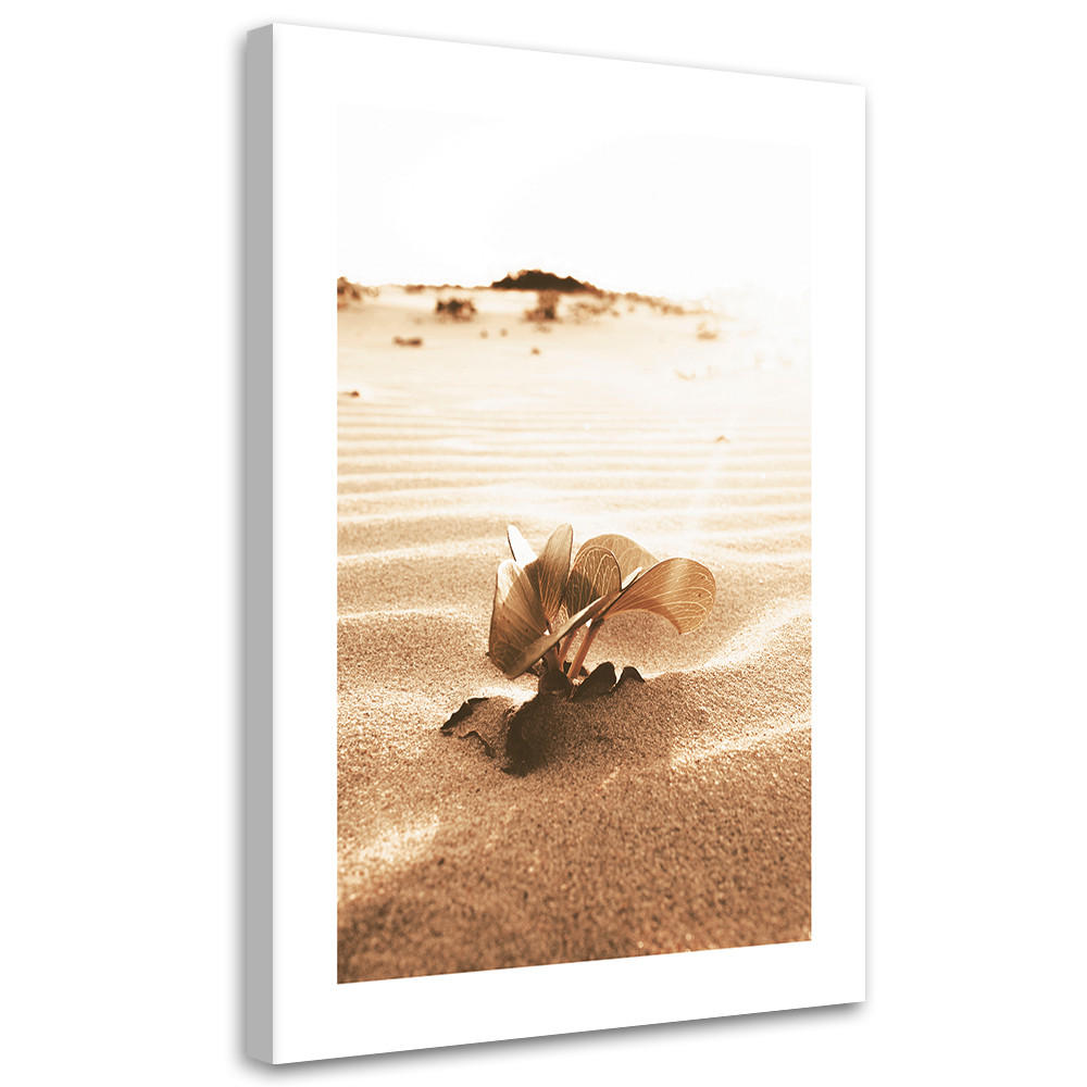 WANDBILD blume in der wüste - Beige, Textil (40/60cm) - Feeby