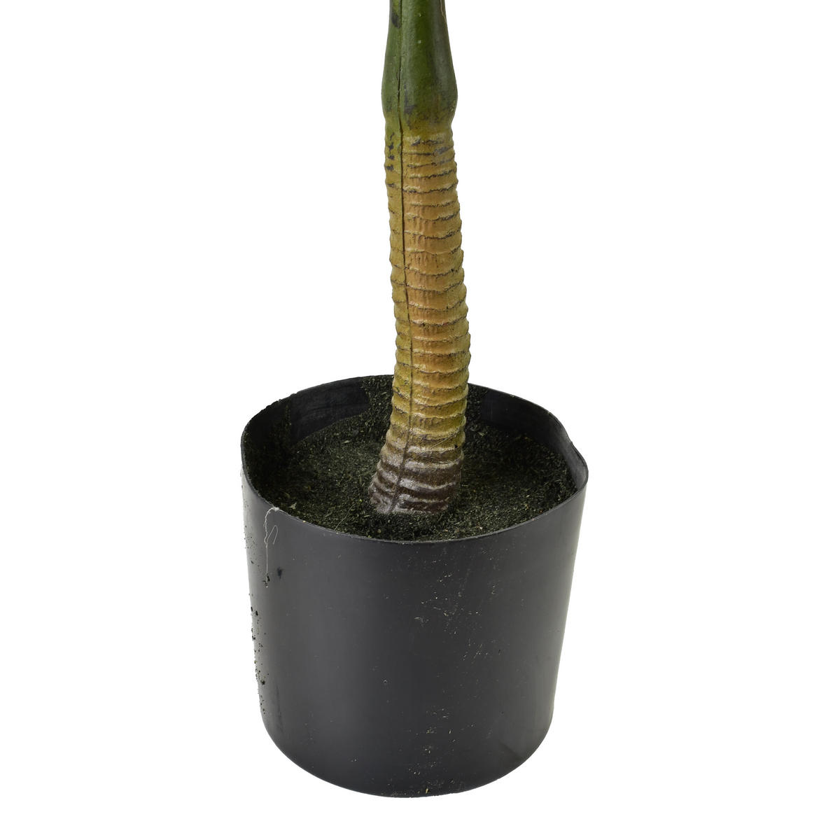 KUNSTBLUME Viridis Grün 13x12x57 cm Kunststoff - Grün, Kunststoff (57cm) - Mondex