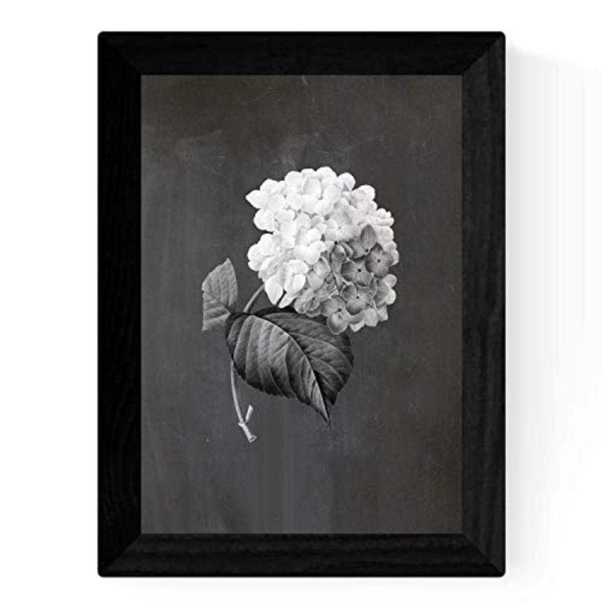 POSTER Set mit 4 Botanischen Stils Rosa weich Schwarz Hintergrund A3 Rahmenlos - Klar, Papier (29.7/3cm) - Nacnic