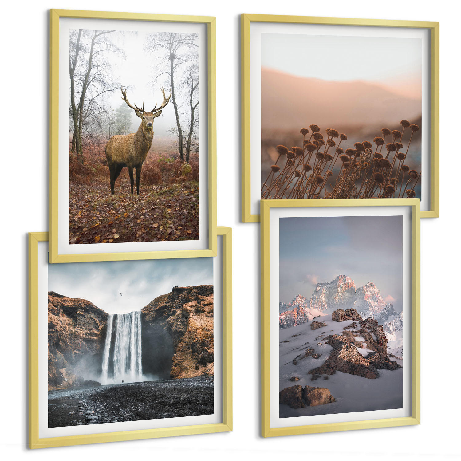 BILDER SET 4er Set - 50x50 cm & 40x60 cm Goldrahmen - Wilde Landschaften, Berge, Hirsche - Goldfarben, Kunststoff (50/50cm) - TULUP