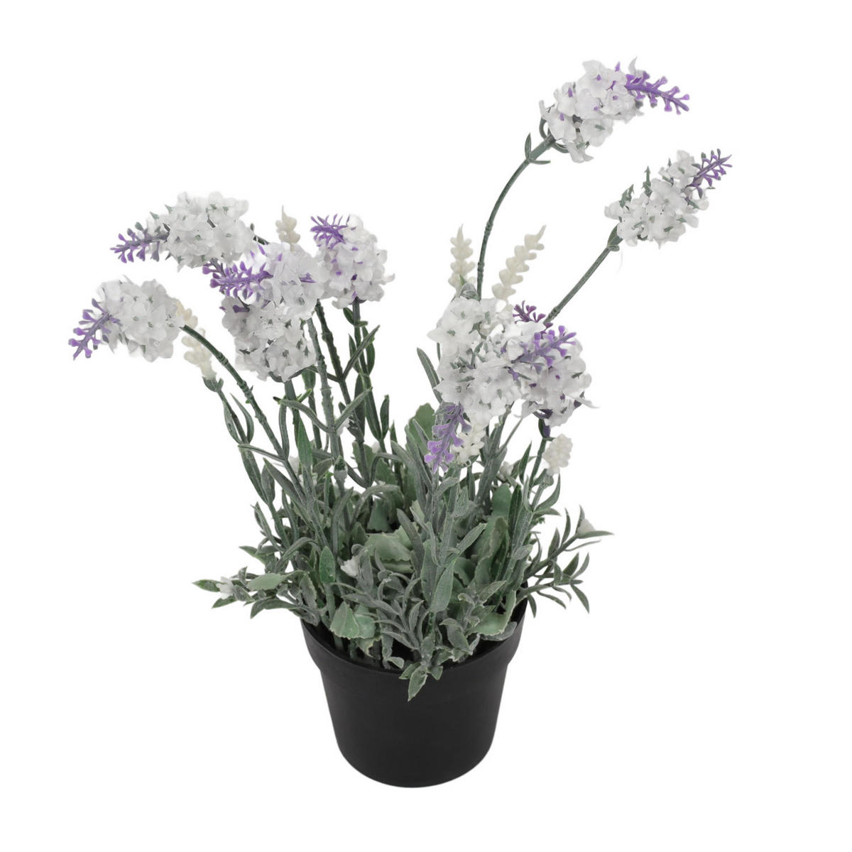 LAVENDEL im Topf 15/15/40 cm - Multicolor, Kunststoff (40cm) - Home Styling Collection