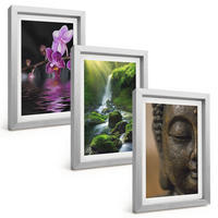 BILDER SET 3er Set - 20x30 cm Silberner Rahmen - Blumen, Wasserfall, Buddha-Felsen, Zen - Silberfarben, Kunststoff (20/30cm) - TULUP