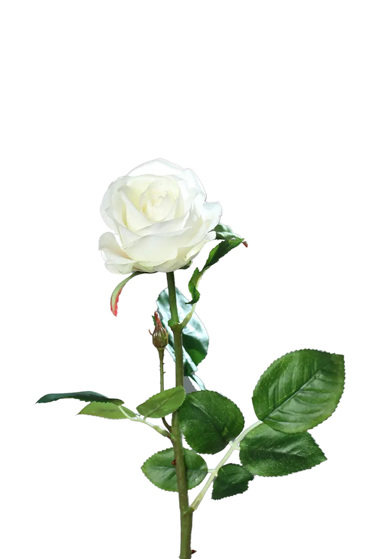 KUNSTBLUME Künstliche Rose - Alexandros 66 cm - Creme, Kunststoff (66cm) - aplanta