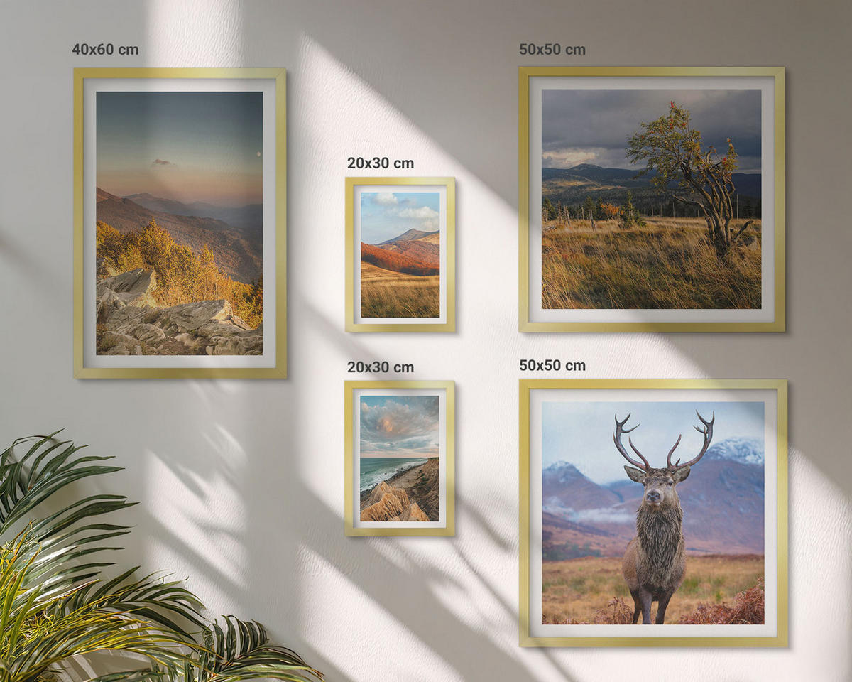 WANDBILDER 5er Set - 50x50 cm & 20x30 cm & 40x60 cm Goldrahmen - Berglandschaften, Hirschgras - Goldfarben, Kunststoff (40/60cm) - ArtPrintCave