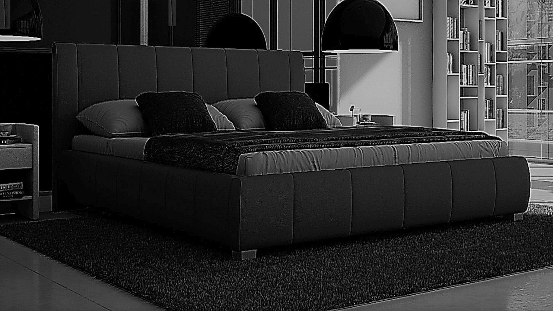 POLSTERBETT Luna 160 Schwarz - Schwarz, Leder (160/200cm) - Sedex