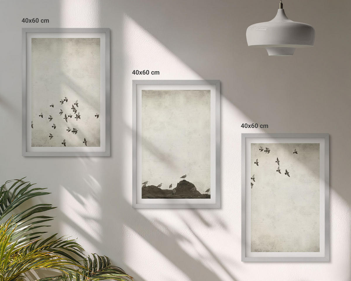 BILDER SET 3er Set - 40x60 cm Silberner Rahmen - Vögel im Flug, minimalistischer Stil - Silberfarben, Kunststoff (40/60cm) - TULUP