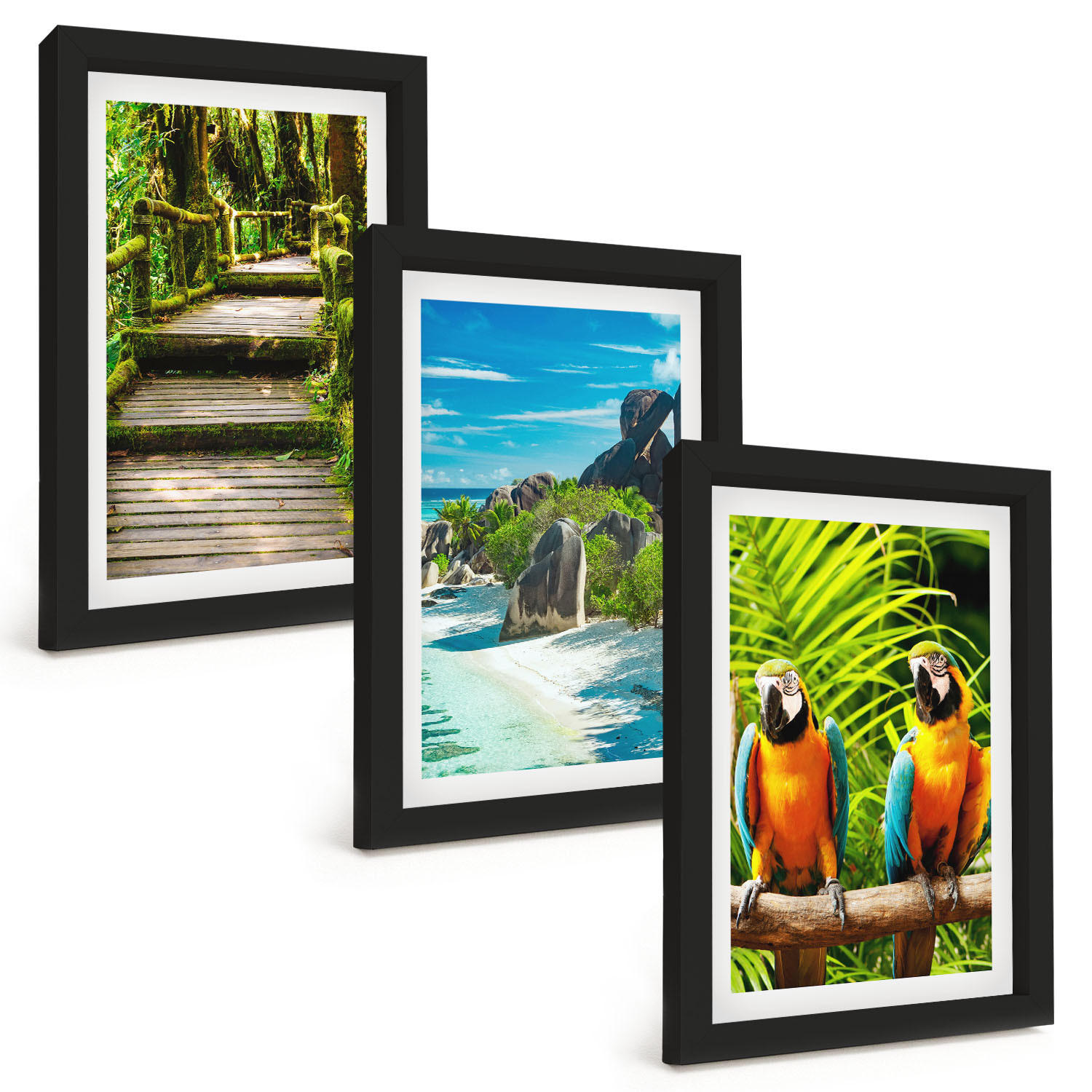 BILDER SET 3er Set - 20x30 cm Schwarzer Rahmen - Tropischer Wald Papageienwasserfall - Schwarz, Kunststoff (20/30cm) - TULUP