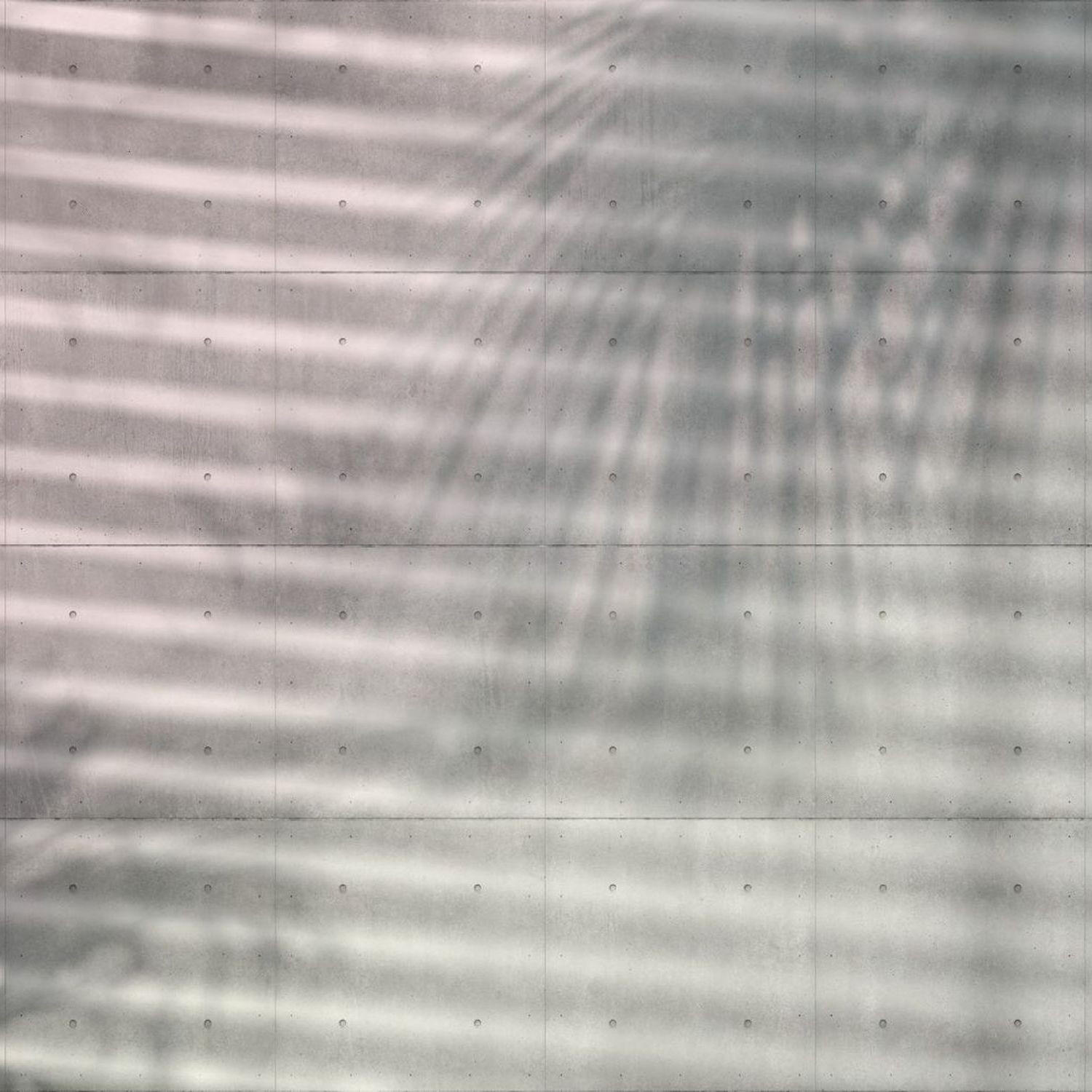 FOTOTAPETE Blätter 368 x 248 cm - Grün, Papier (368/248cm) - Sanders & Sanders