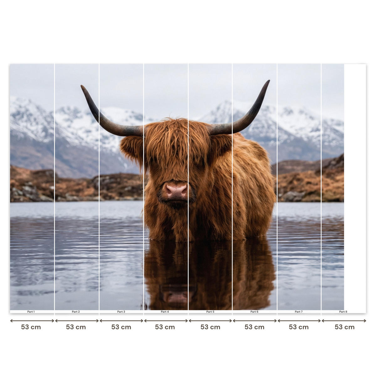 TAPETE - Schottischer Hochländer - Braun - Wasser - 400x300 cm - Braun, Papier (400/300cm) - OnlyWow