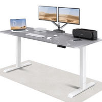 SCHREIBTISCH Elektrisch Höhenverstellbarer HomePro 200x80cm Weiß/Grau mit Memory-Funktion, Anti-Kollisions Technologie - Weiß/Grau, Holzwerkstoff (80/200/62cm) - Desktronic