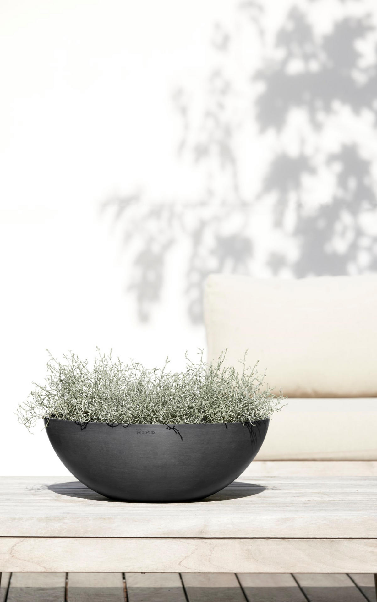 BLUMENTOPF Vienna 50,4/18,5 cm Dunkelgrau - Dunkelgrau, Kunststoff (50.4/18.5cm) - Ecopots