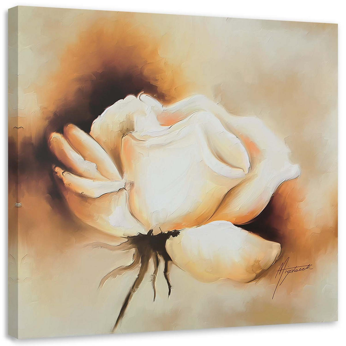 WANDBILD Eine Knospe der weißen Rose - Beige, Textil (30/30cm) - Feeby