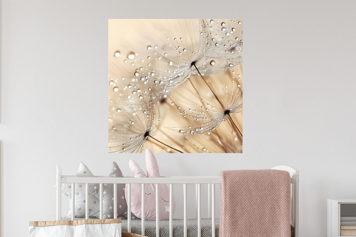 WANDTATTOO Löwenzahn - Abstrakt - Natur - Beige 50x50 cm - Braun, Kunststoff (50/50/0.1cm) - MuchoWow