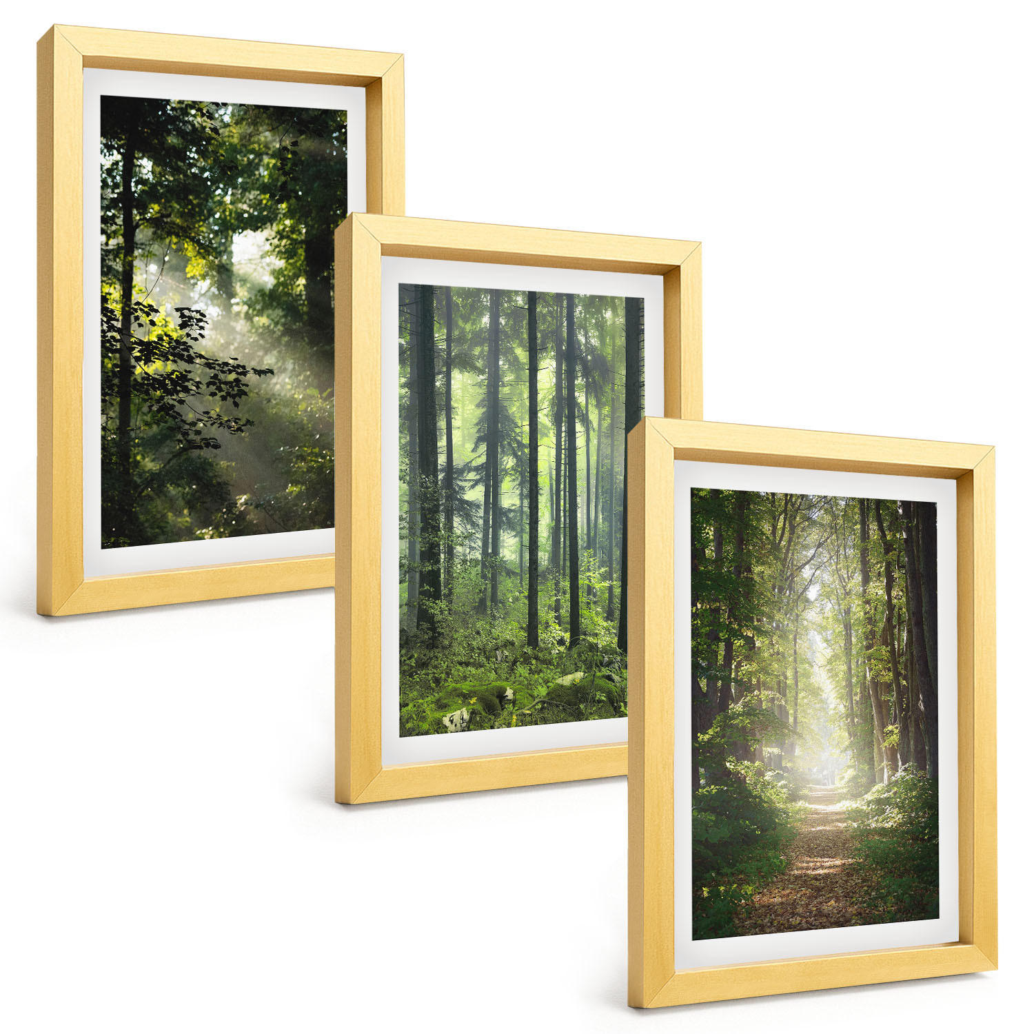 BILDER SET 3er Set - 20x30 cm Goldrahmen - Grüne Wälder mit Lichtstrahlen - Goldfarben, Kunststoff (20/30cm) - TULUP