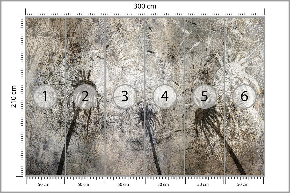 FOTOTAPETE Pusteblumen Beton Retro Stil 300x210 - Beige/Braun, Papier (300/210cm) - Muralo