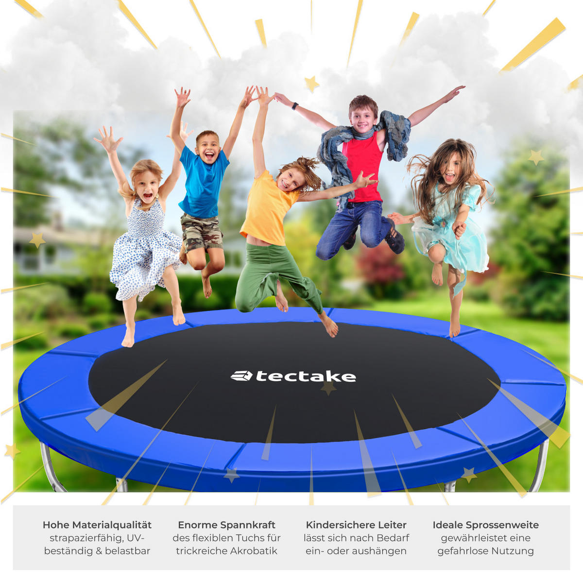 TRAMPOLIN Garfunky,inklusive Einstiegsleiter,schwarz/blau - Blau/Schwarz, Metall (305/256/305cm) - tectake