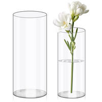 VASE 12*12*25CM - Transparent, Keramik (20cm) - LIBRATON