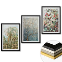 WANDBILDER 3er-Set - 40x60 cm Schwarzer Rahmen - Tropische Pflanzen, Vögel, Natur - Schwarz, Kunststoff (40/60cm) - ArtPrintCave