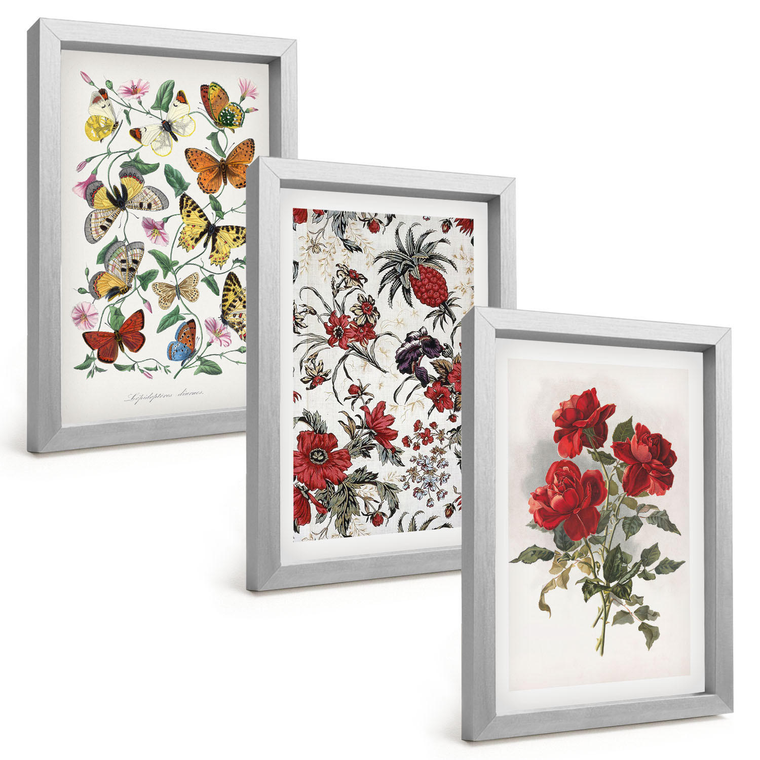 BILDER SET 3er Set - 20x30 cm Silberner Rahmen - Schmetterlinge, Blumen, rote Rosen - Silberfarben, Kunststoff (20/30cm) - TULUP