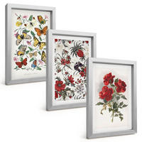 BILDER SET 3er Set - 20x30 cm Silberner Rahmen - Schmetterlinge, Blumen, rote Rosen - Silberfarben, Kunststoff (20/30cm) - TULUP