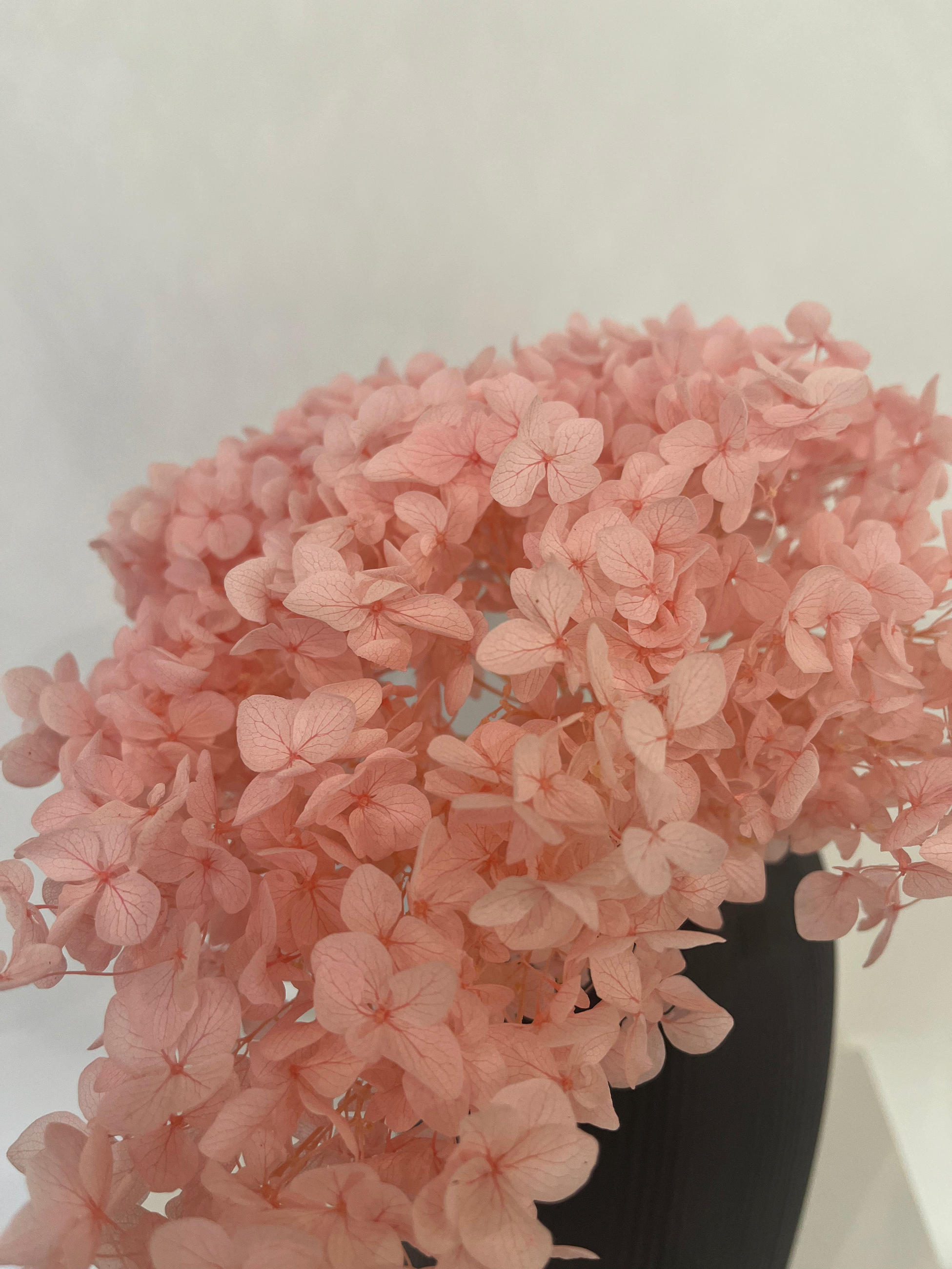 Lykke & You Rispenhortensie: Rosa 30 cm