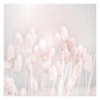 FOTOTAPETE Helles Gras im Sonnenlicht 192/192 cm - Eichefarben, Papier (192/192cm) - Bilderwelten