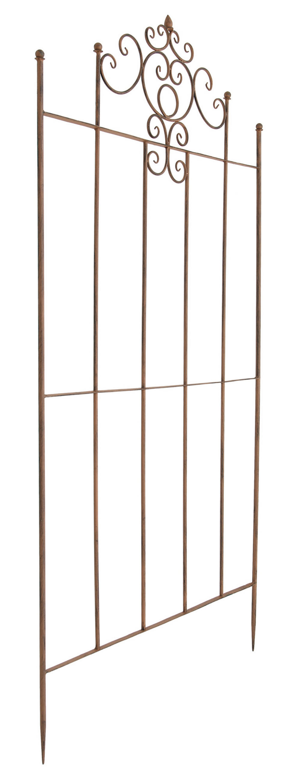 RANKGITTER Paul antik braun - Braun, Metall (85.5/170/2cm) - TPFGarden