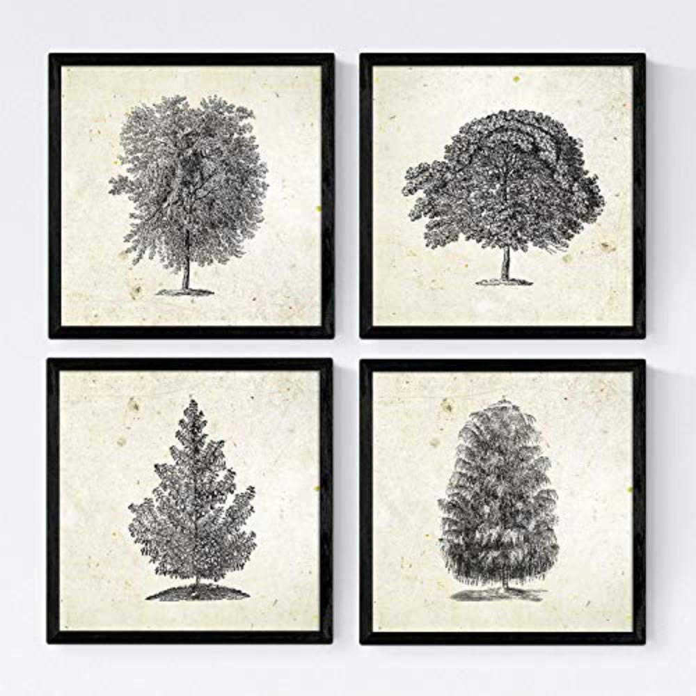 POSTER Set mit 4 Blättern der Baumstamm in halben alten Papierhintergrund 20x20cm Rahmenlos - Klar, Papier (20/3cm) - Nacnic