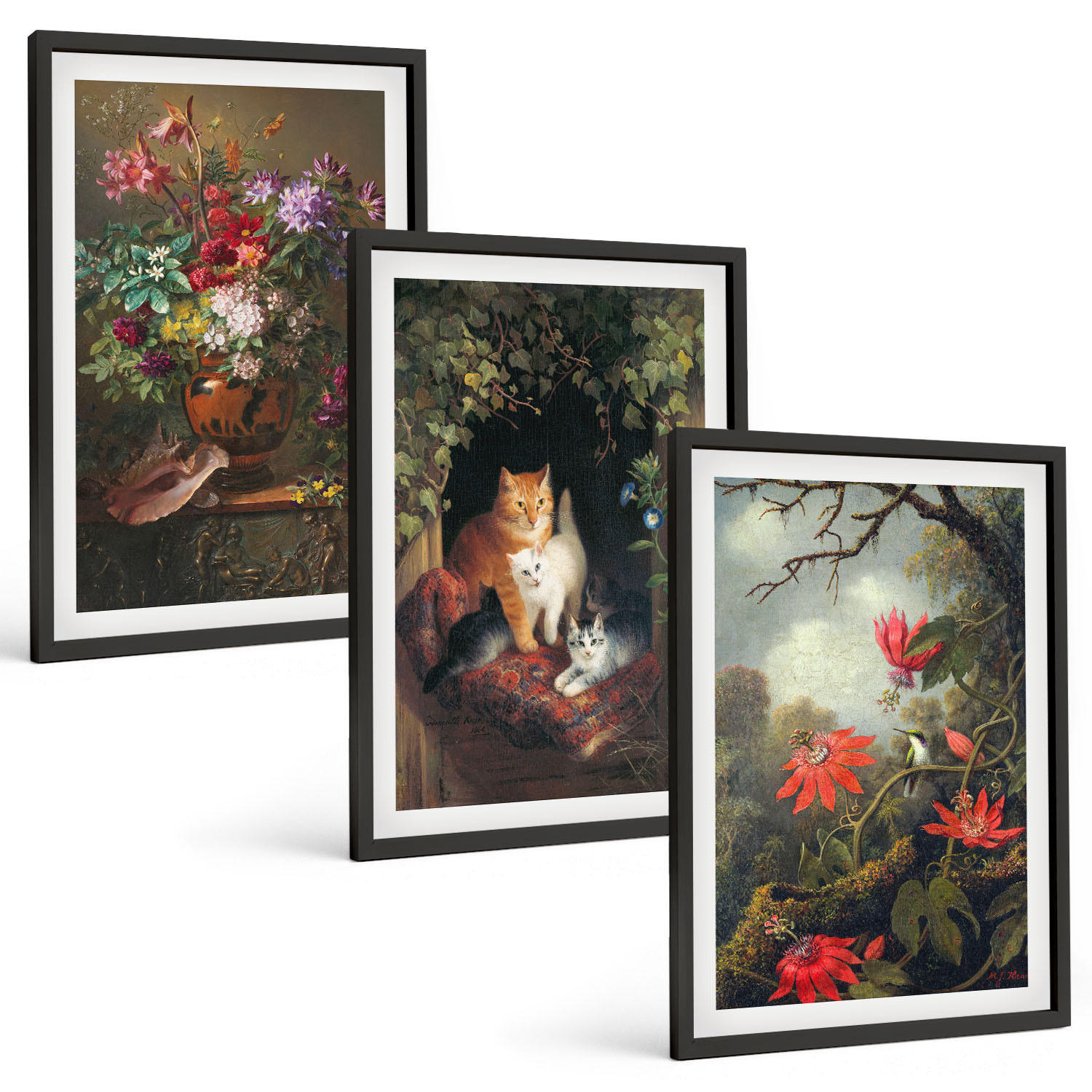 BILDER SET 3er Set - 40x60 cm Schwarzer Rahmen - Vintage-Blumen, Katzen, Natur - Schwarz, Kunststoff (40/60cm) - TULUP