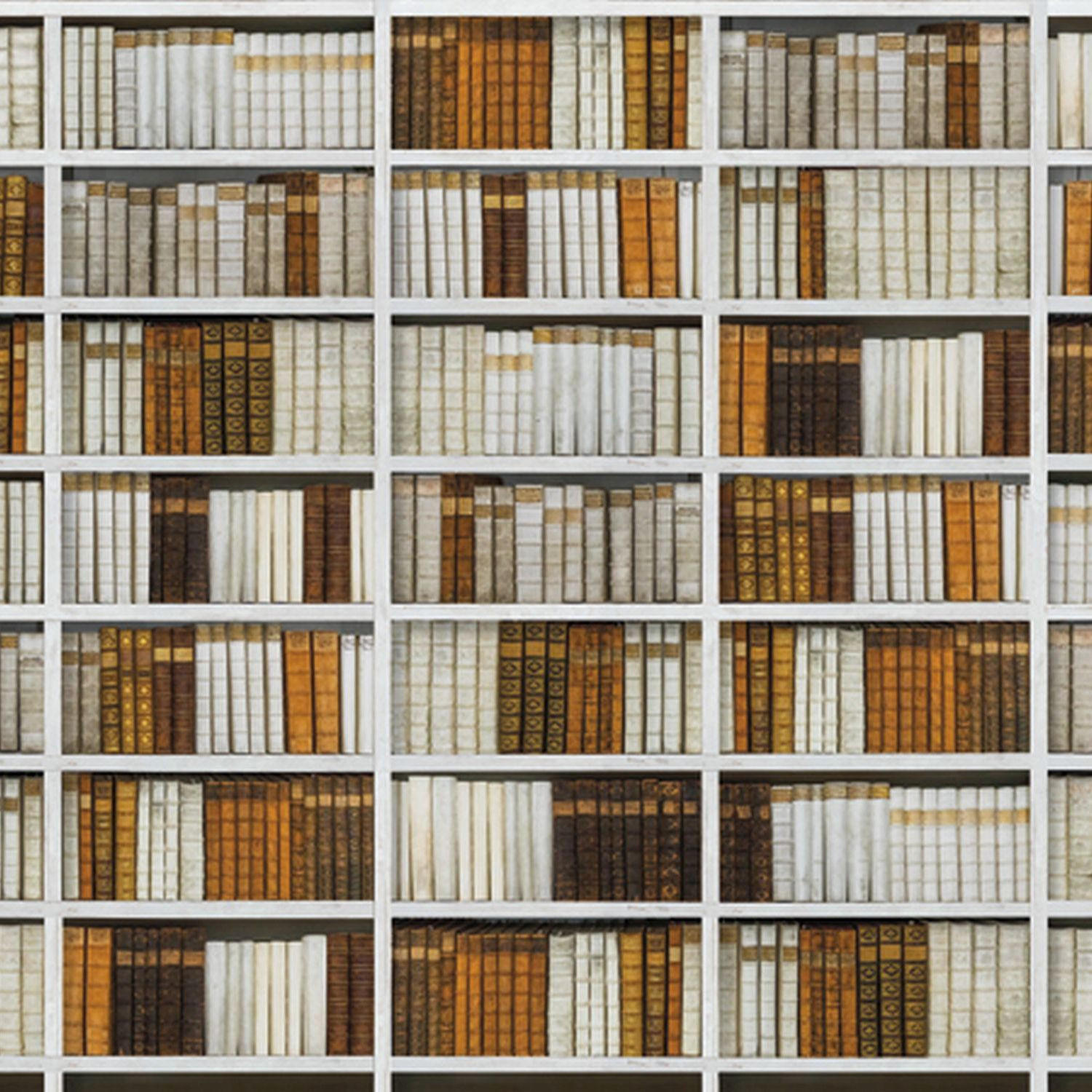FOTOTAPETE Bücherregal 424 x 280 cm - Multicolor, Papier (424/280cm) - Sanders & Sanders