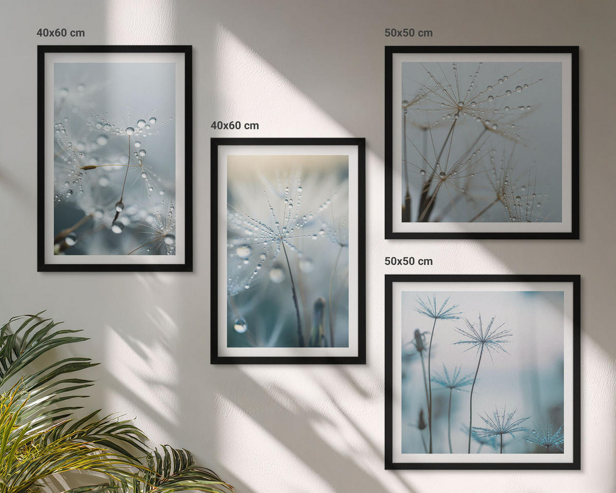 BILDER SET 4er Set - 50x50 cm & 40x60 cm Schwarzer Rahmen - Tautropfen auf Löwenzahn - Schwarz, Kunststoff (50/50cm) - TULUP