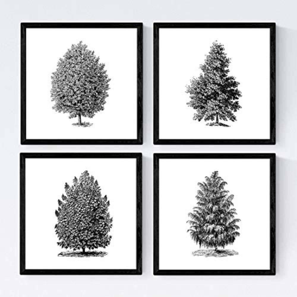 Nacnic Poster Klar 30x3 cm